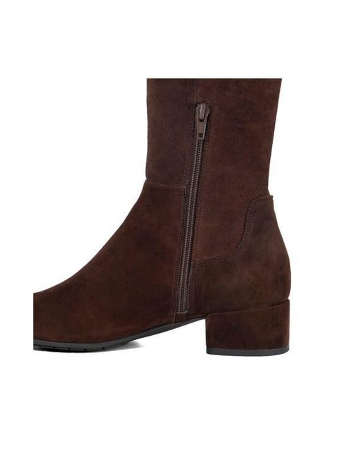 Dune Brown Tayla Knee High Boot