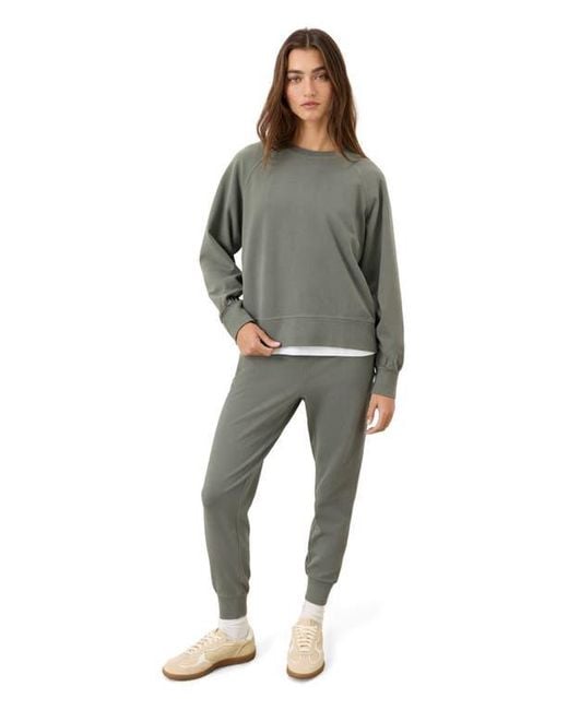 Pact Gray Cloudknit Raglan Crew