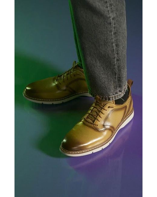 Stacy Adams Brown Sync Sneaker for men