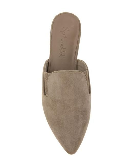 Splendid Brown Liza Pointed Toe Mule