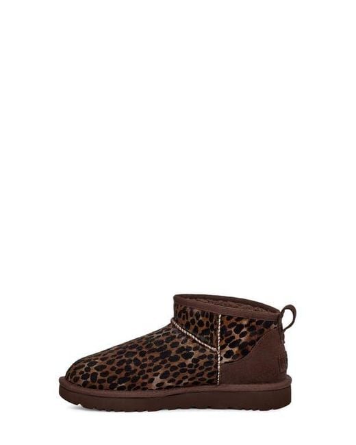 Ugg Brown Classic Mini Caspian Boots