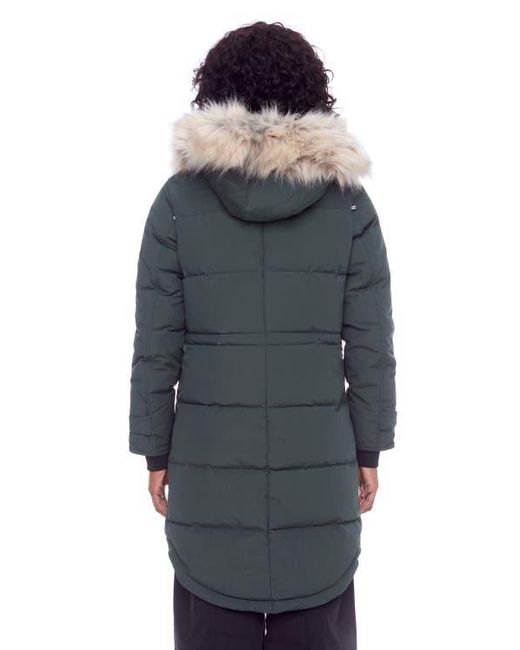 Alpine North Blue Ukon