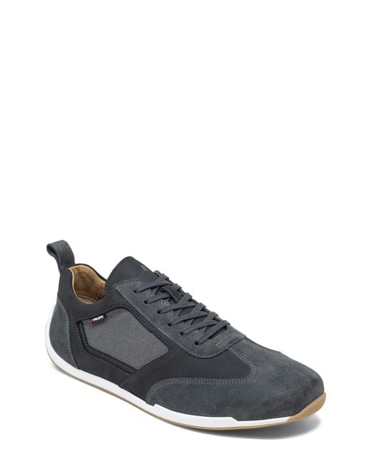 Piloti Gray Endurance Sneaker for men