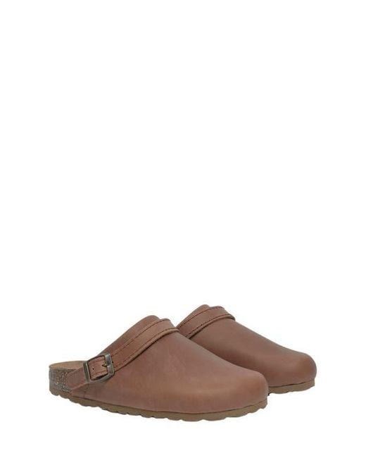 Celtic & Co. Brown Strap Detail Clog
