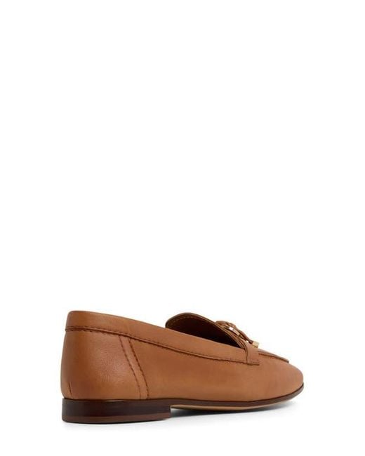 ALDO Brown Ybilide Loafer