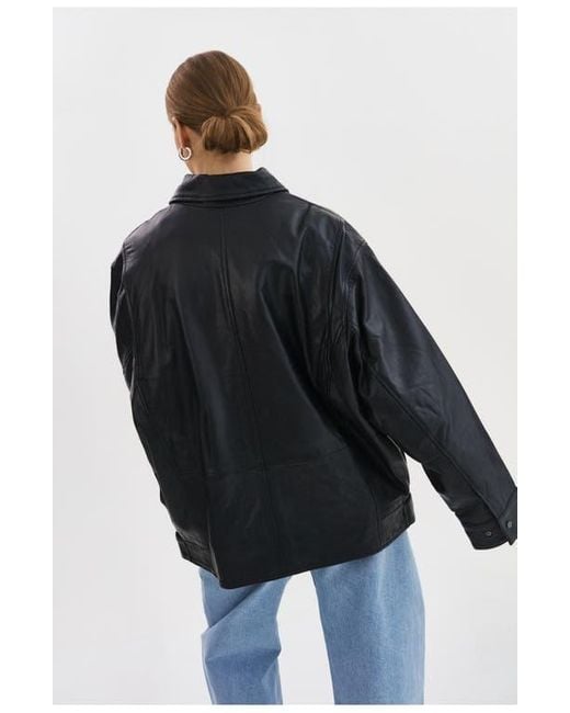Lamarque Black Theia