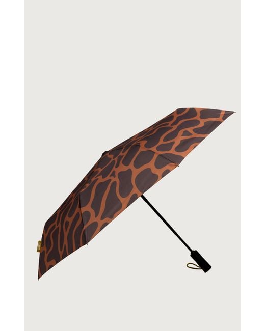 Original Duckhead Brown Compact Umbrella With Automatic Open-Close Function