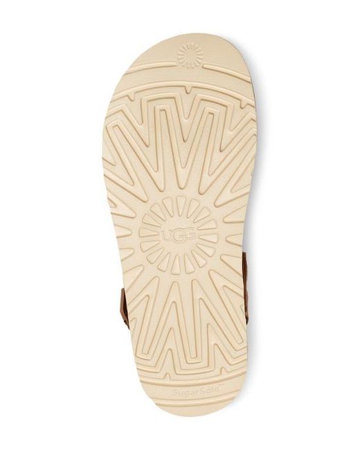 Ugg Brown Goldenstar Clog Suede Shoes
