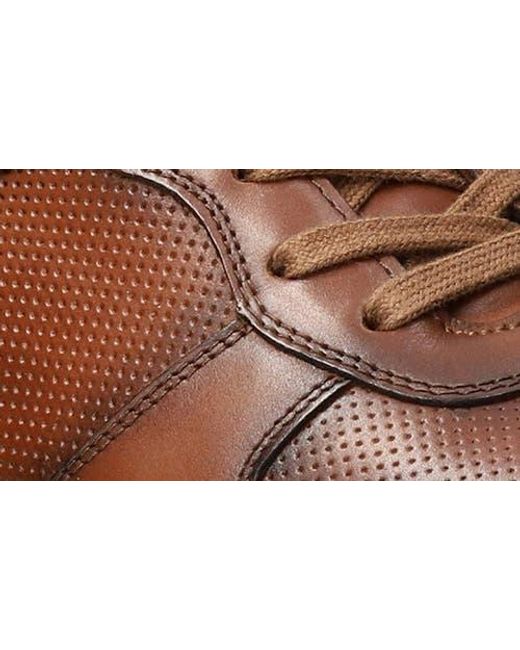 Mephisto Brown Gerome Sneaker for men
