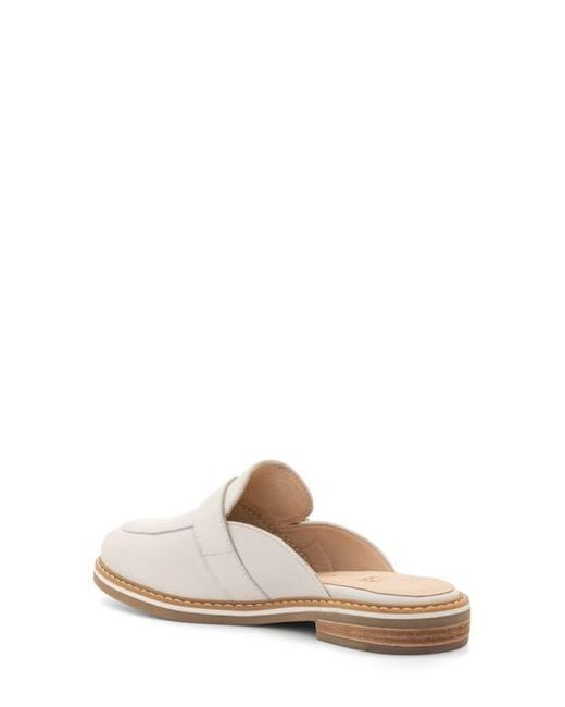 Ara White Kona Mule