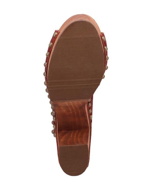 Dingo Brown Echo Clog