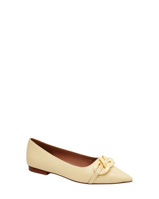 Linea Paolo Women's Natural Nora Pointed Toe Flat