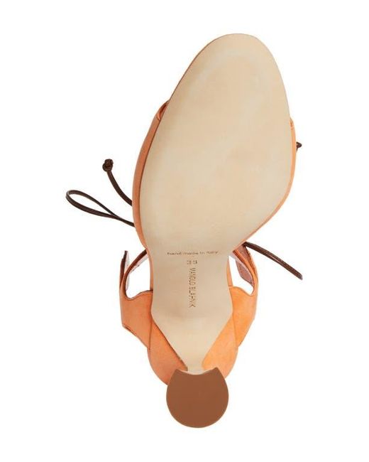 Manolo Blahnik Pink Dalia Sandal
