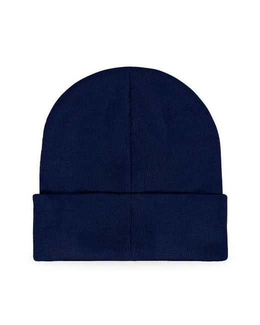 Alix Blue Ice Bear Beanie for men