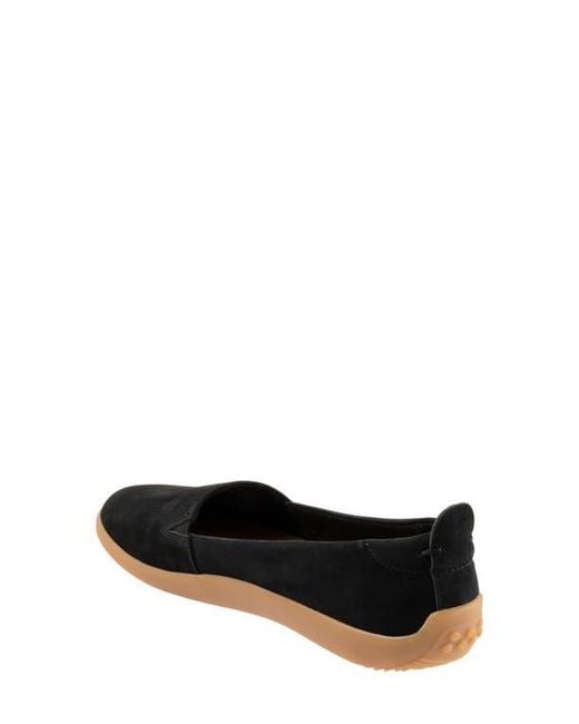 Softwalk® Black Deva Flat