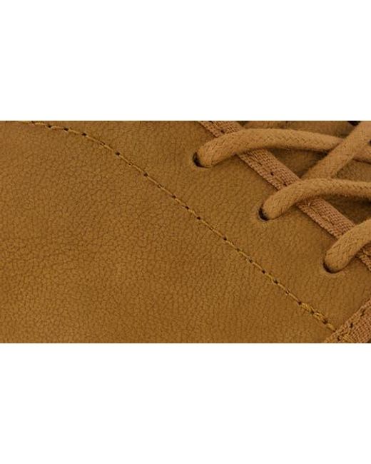 TOMS Brown Carlo Mid Terrain 2.0 Sneaker for men