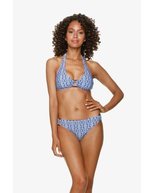 Helen Jon Blue Tortoise Halter
