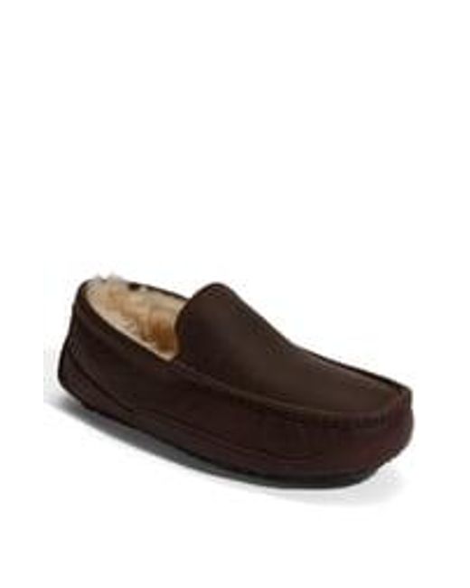 ugg ascot leather china tea