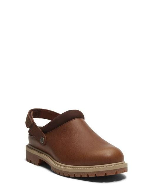 Timberland Brown Clog