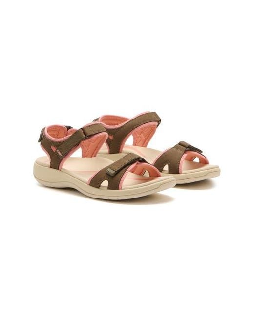 ABEO Pink Goleta