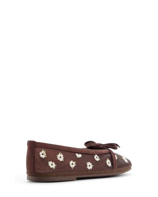 ALDO Brown Aurabella Ballet Flat