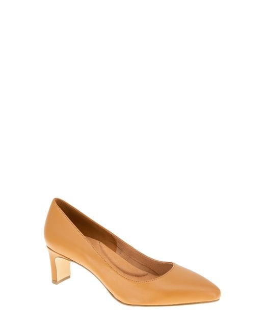 Andre Assous Brown Wynne Pump