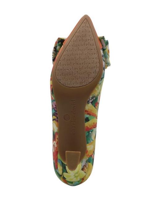 Charles David Multicolor Adren Pointed Cap Toe Pump