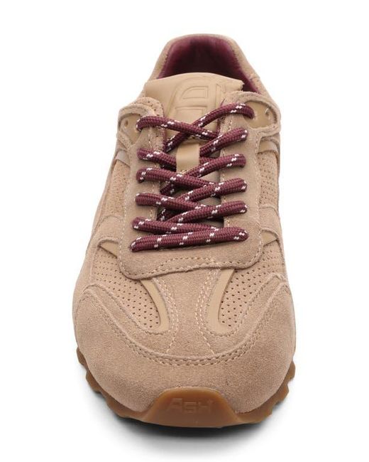 Ash Pink Kasar Sneaker