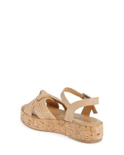 Cordani Metallic Kaylin Ankle Strap Platform Sandal
