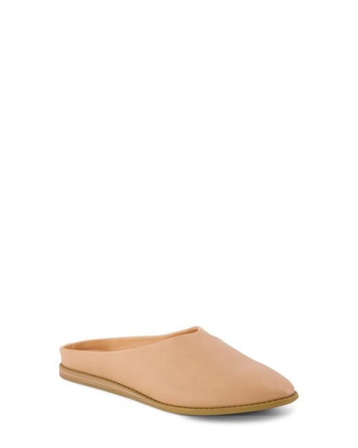 TOMS Natural Amelia Mule