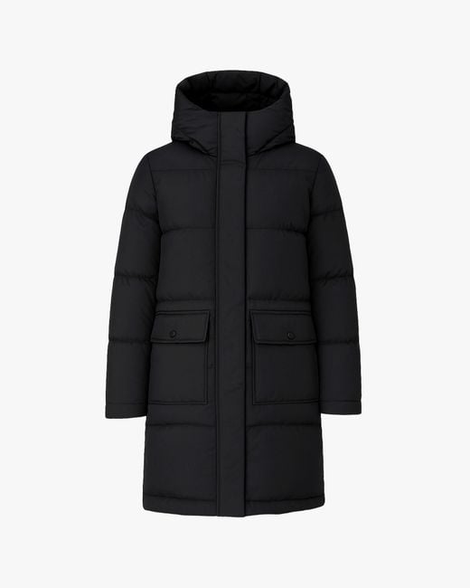 Quartz Co. Black Chloe