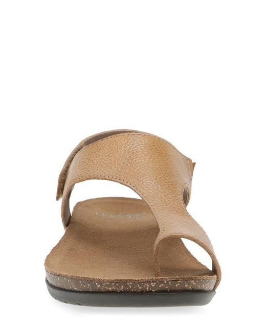 Dansko Brown Reece Sandal