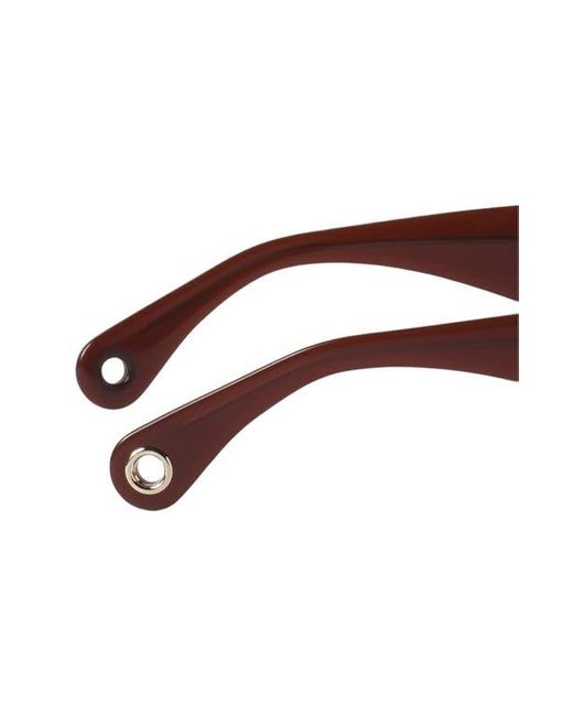 Lanvin Brown Logo Sunglasses