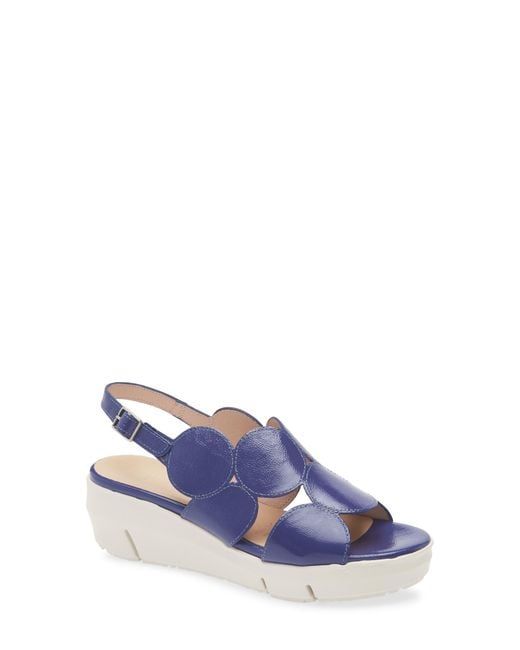 Wonders Blue Platform Sandal