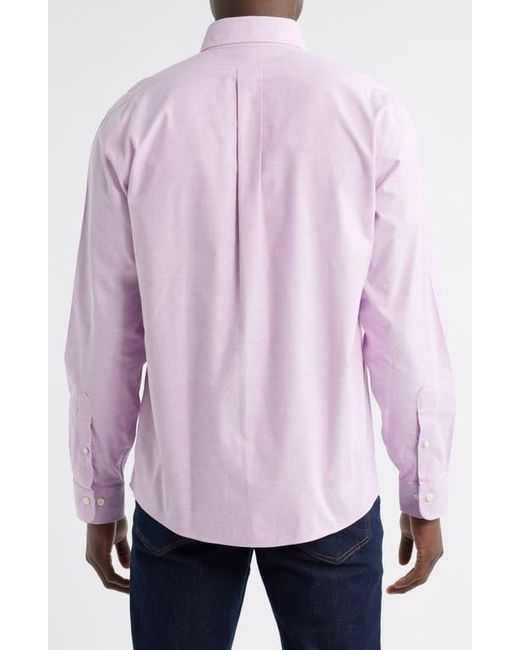 Brooks Brothers Pink Non-Iron Regular Fit Stretch Cotton Button-Down Oxford Shirt for men
