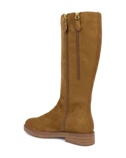 Aerosoles Brown Prue Tall Boot