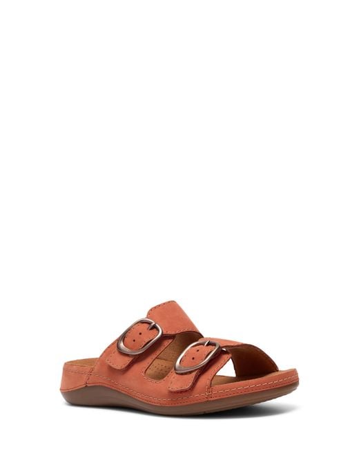 Clarks Brown Cecily Step Sandal