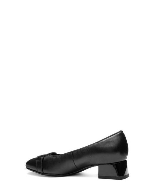 Ara Black Glacier Pump