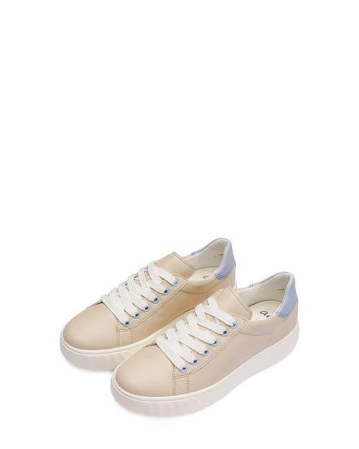 Ara Multicolor Mikky Platform Sneaker