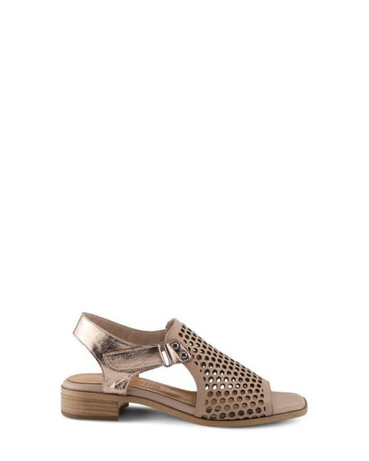 Spring Step Brown Gosset Sandal