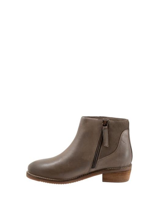 Softwalk® Brown Racine Bootie