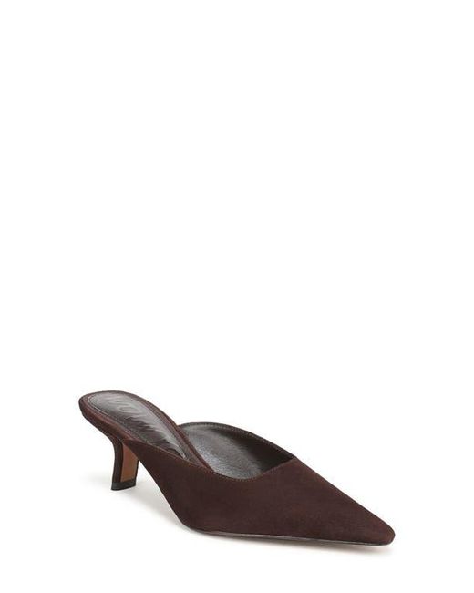 Sam Edelman Brown Brandy Pointed Toe Mule