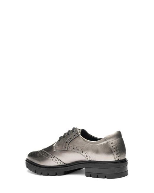 Ara Metallic Clementine Wingtip Derby