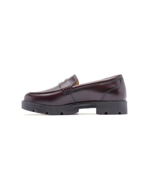 ABEO Brown Boulevard Loafer