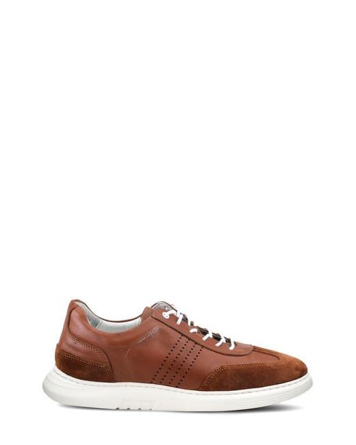 Spring Step Brown Trenton Sneaker for men