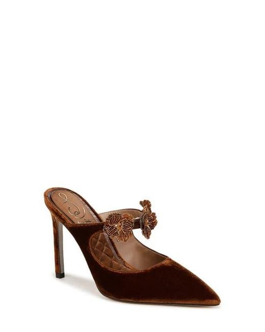 Sam Edelman Brown Amelie Pointed Toe Mule