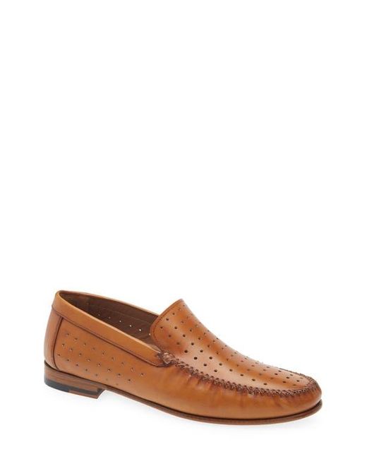 Mezlan Brown Perforated Moc Toe Loafer for men