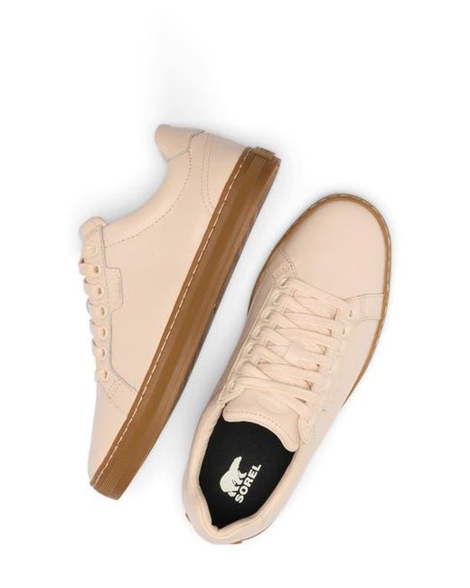 Sorel Pink Cyprus Lx Sneaker