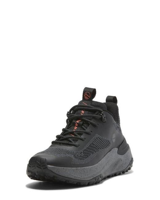 Timberland Black Motion Access Waterproof Sneaker