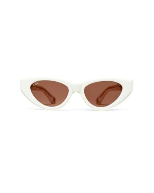 VADA Brown Catfish Sunglasses